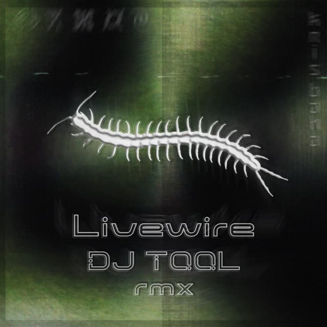 Avatar de DJ TOOL en Spotify